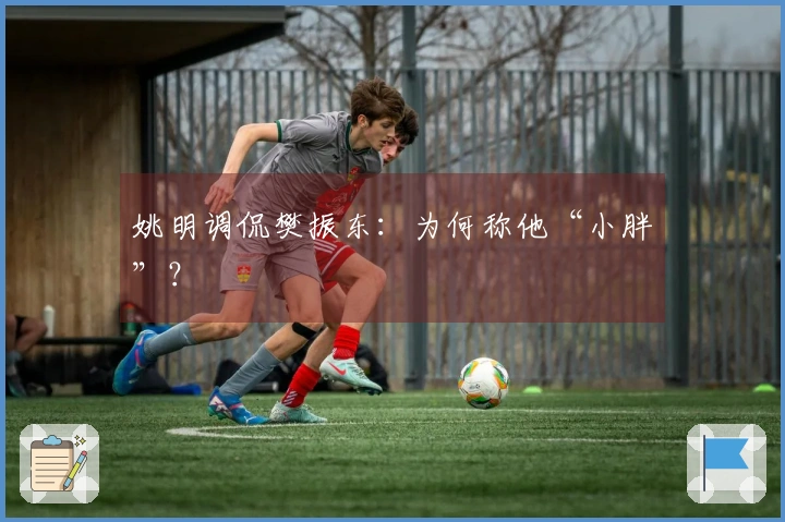 姚明调侃樊振东：为何称他“小胖”？